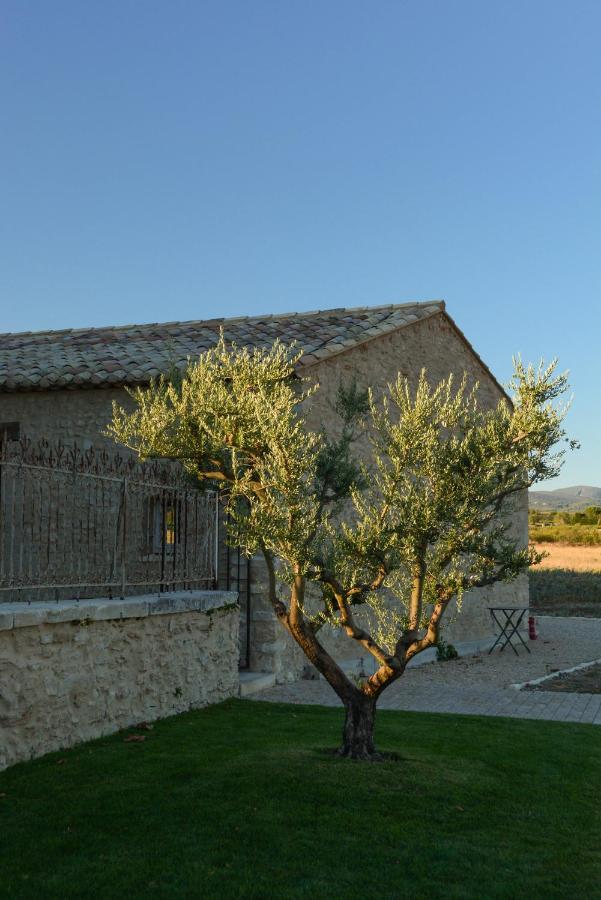 La Bastide Neuve Bed & Breakfast Joucas Luaran gambar